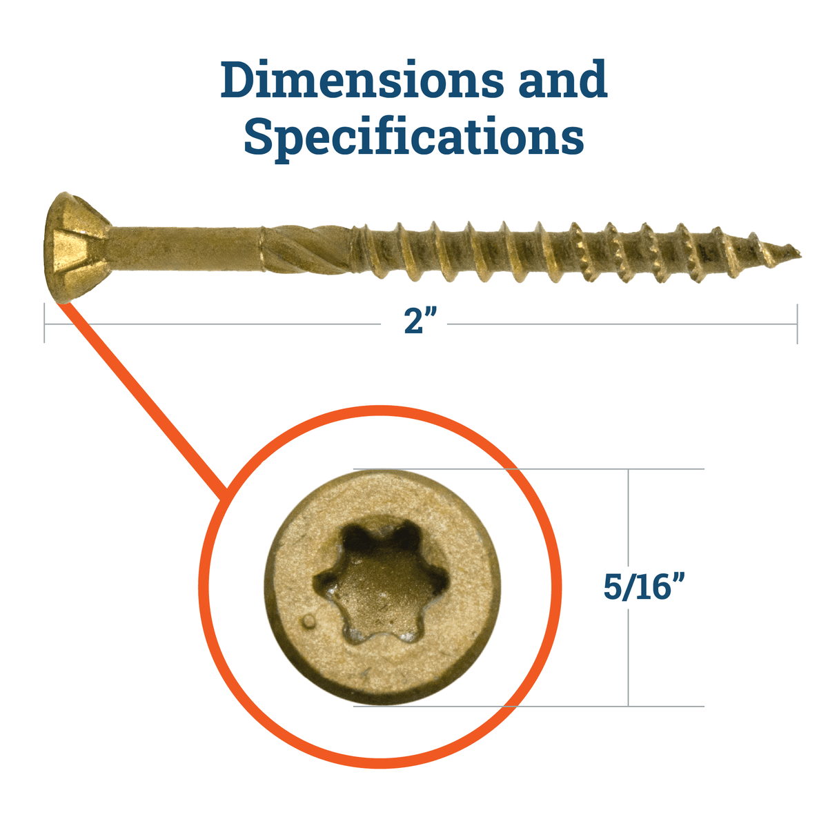 #8 Star Drive Wood Screw - S - SC - 8002W - Picture Hang Solutions